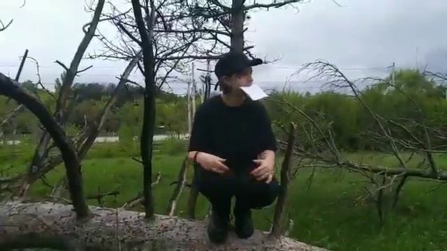 Басня ВОРона и Лиса смотреть онлайн