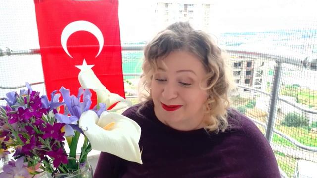 ЧТО НЕЛЬЗЯ ВЫВОЗИТЬ ИЗ ТУРЦИИ???? смотреть онлайн