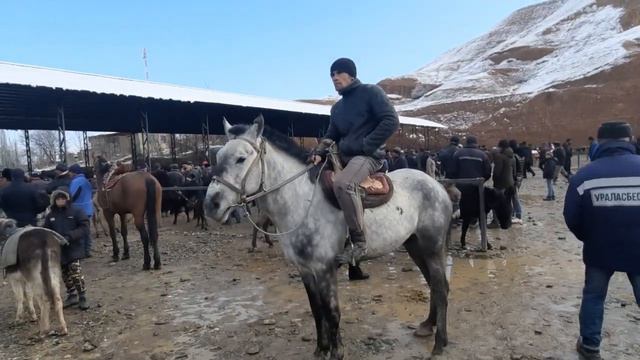 Асп Бозори ш ИСТАРАВШАН смотреть онлайн