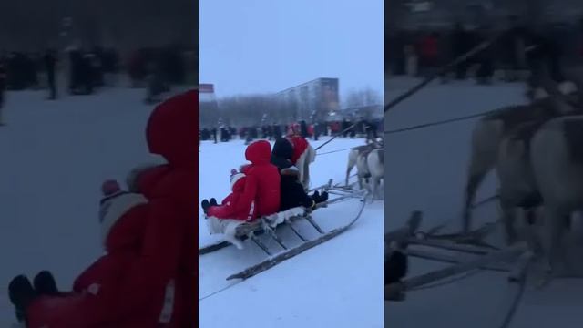 Воркута,праздник севера,27 ноября 2022 смотреть онлайн