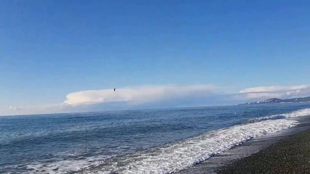 1 января 2019 года в Сочи | Новый год в Сочи смотреть онлайн