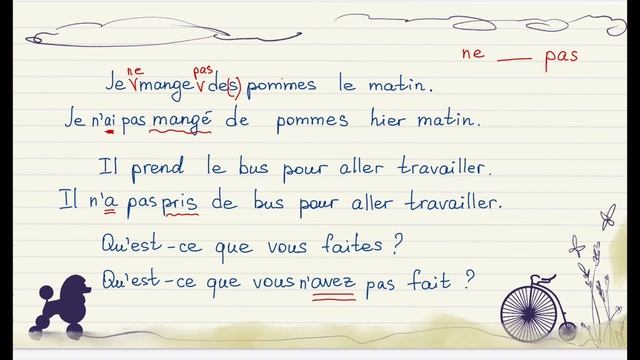 Французский для начинающих. Уровень А1. Урок 15 из 30 смотреть онлайн