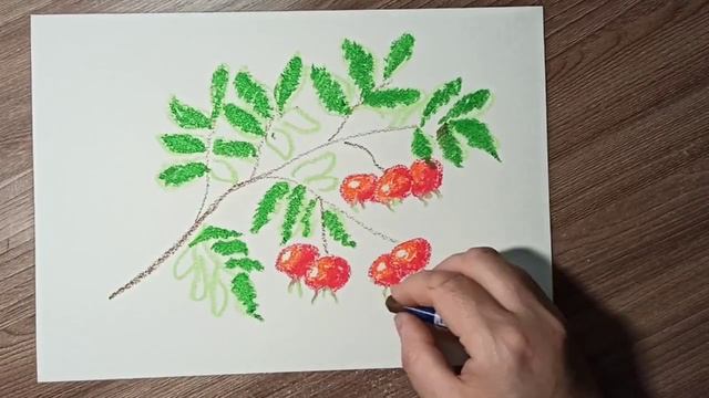 Шиповник - рисунок масляной пастелью. смотреть онлайн