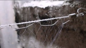 ПОСАДКА СЕТИ. ДВУХСТЕНКА