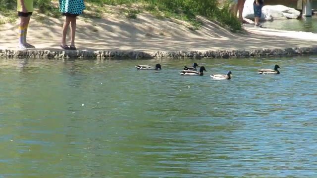 Demonstrating 720P video from Canon PowerShot SX200 IS смотреть онлайн