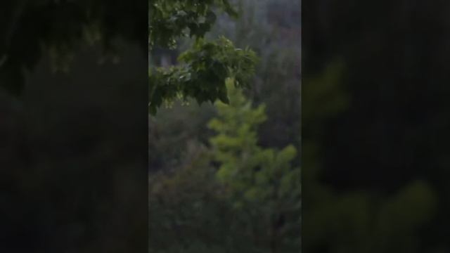 Прикольные видео в нашем тг канале заходите  Https://t.me/Loading_005