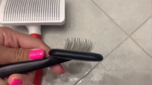 КАК РАСЧЕСАТЬ ШПИЦА|ЧТО НУЖНО?