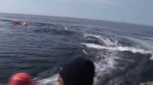 Промысел кита. (Охота на кита №1)