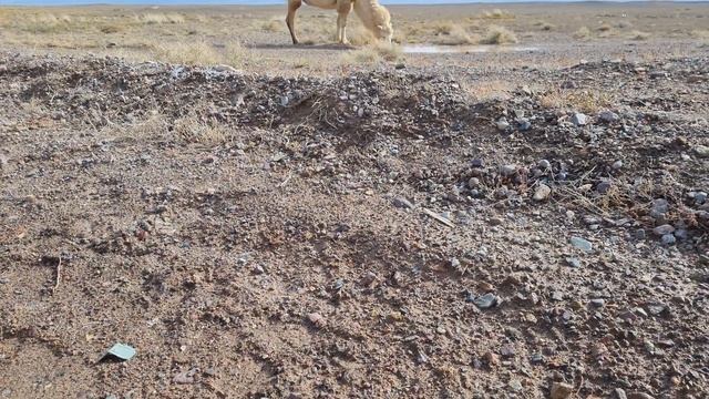 Горячие источники, Чунджа, Алматинская область. смотреть онлайн