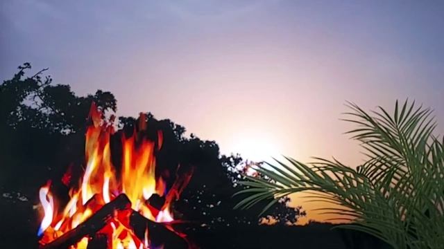 Царь Никита и его 40 дочерей. А.С.Пушкин смотреть онлайн