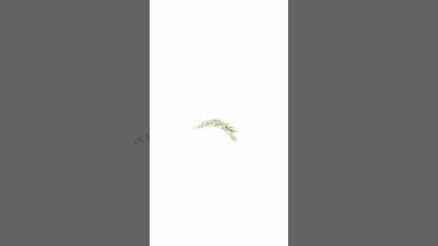 Наращивали:▫️эффект - плавная лиса▫️длина - 6-13мм▫️толщина ресниц - 0.07▫️изгиб - L▫️объём - 4D? смотреть онлайн