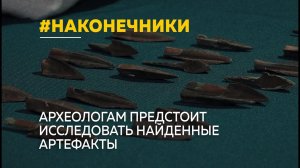20 бронзовых наконечников стрел, обнаруженные «черным копателем», будут храниться в алтайском музее
