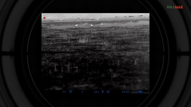 Охота на волка в Астрахани. Сезон 2022. Часть первая. Волки рыщут - добычи ищут. смотреть онлайн