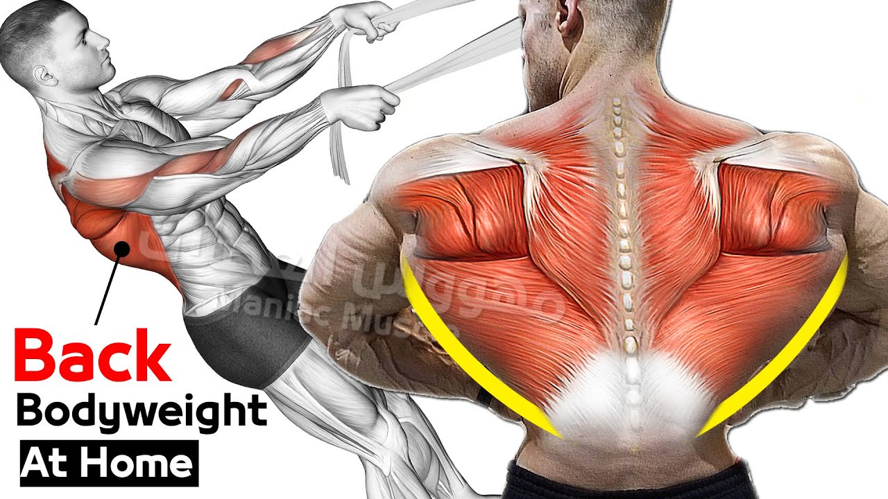 тренировка с собственным весом Упражнения для спины смотреть онлайн