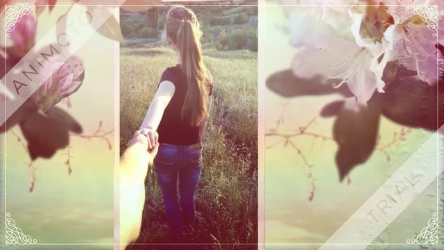 Видеоколлаж смотреть онлайн