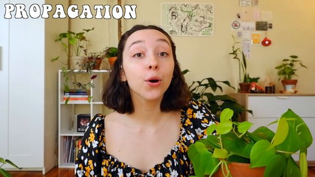 PHILODENDRON CARE AND PROPAGATION | + my philodendron collection! смотреть онлайн