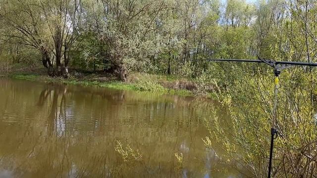 Рыбалка в мае. Если сходит лещ, ловите щуку. смотреть онлайн