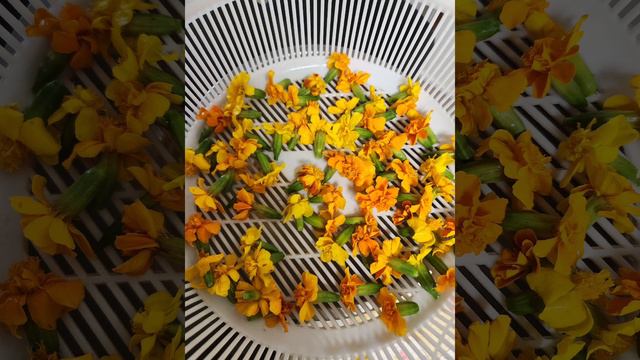 차 한 잔하세요 смотреть онлайн