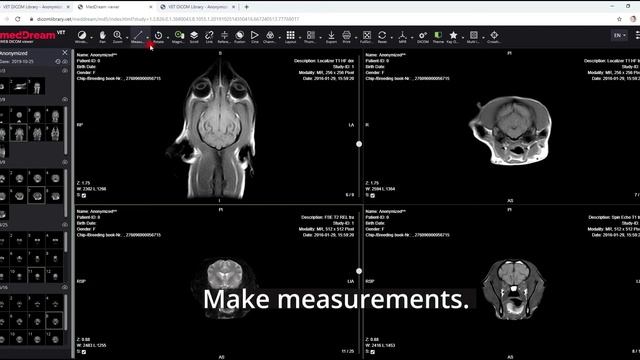 DICOM Library for veterinary: upload, anonymize, view, share and anonymized download VET DICOM file смотреть онлайн