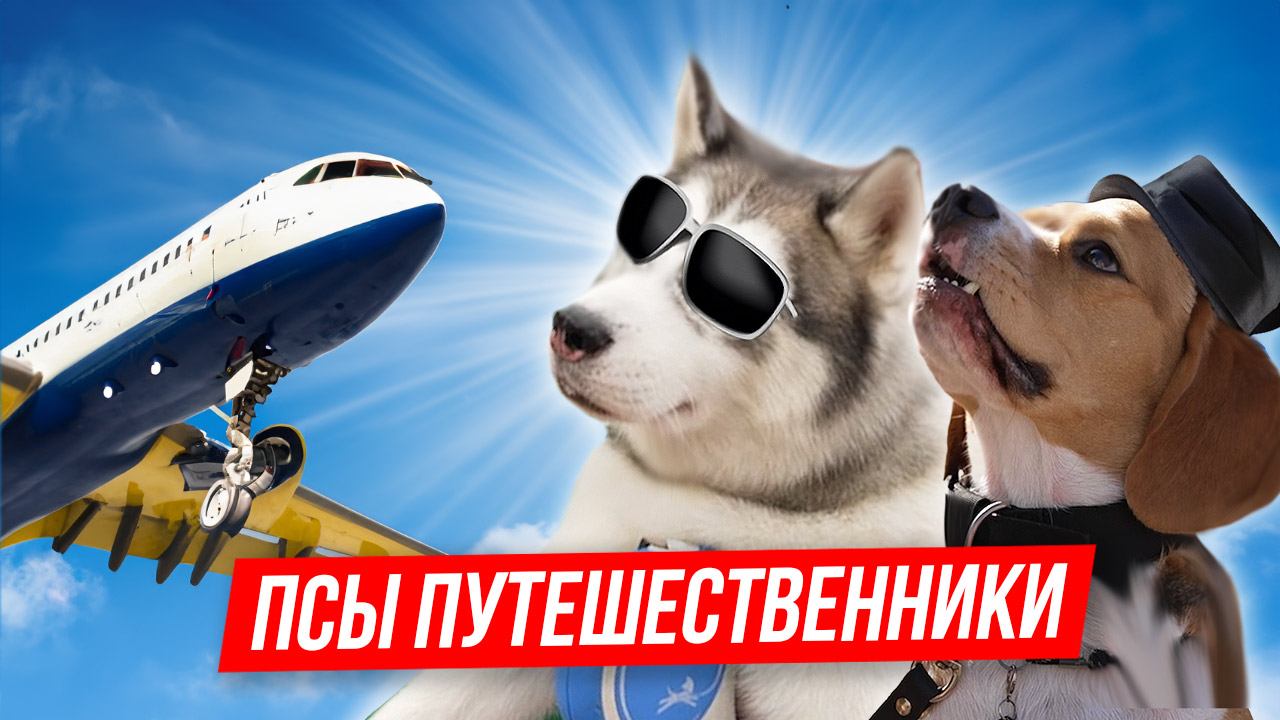 «ПСЫ – ПУТЕШЕСТВЕННИКИ» смотреть онлайн