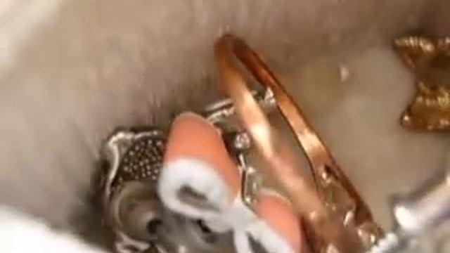 Мои украшения-девичьи прелести::::::::::::: смотреть онлайн