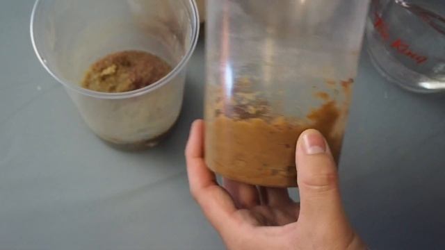 Homemade Fruit Fly Cultures! смотреть онлайн