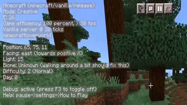 How To Get a JAVA Debug Screen in MCPE 1.17! - Minecraft Bedrock Edition! ( F3 Button ) смотреть онлайн