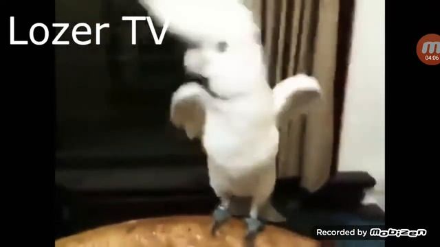 5 февраля 2020 г. смотреть онлайн