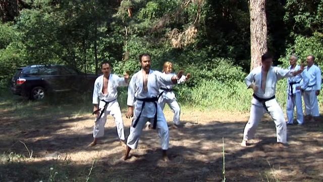 Шисочин (исп. О. Пугачёв, Д. Пащенко, Н. и А. Коляда) ч.4 смотреть онлайн