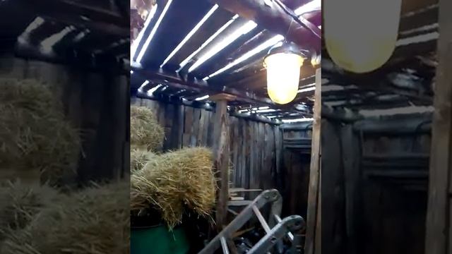 Черновой потолок в сарае