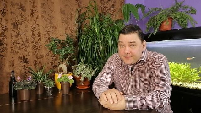 Стройка Ремонтка