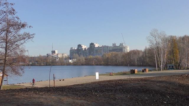 12 ноября 2020 г, Воронеж смотреть онлайн