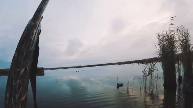 Лучшие налеты! Охота Ростовская область 2019 смотреть онлайн