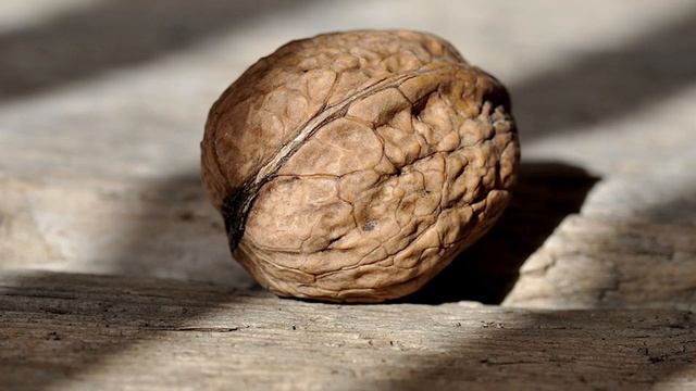 Куда пристроить ореховую скорлупу! О таком вы еще не слышали смотреть онлайн