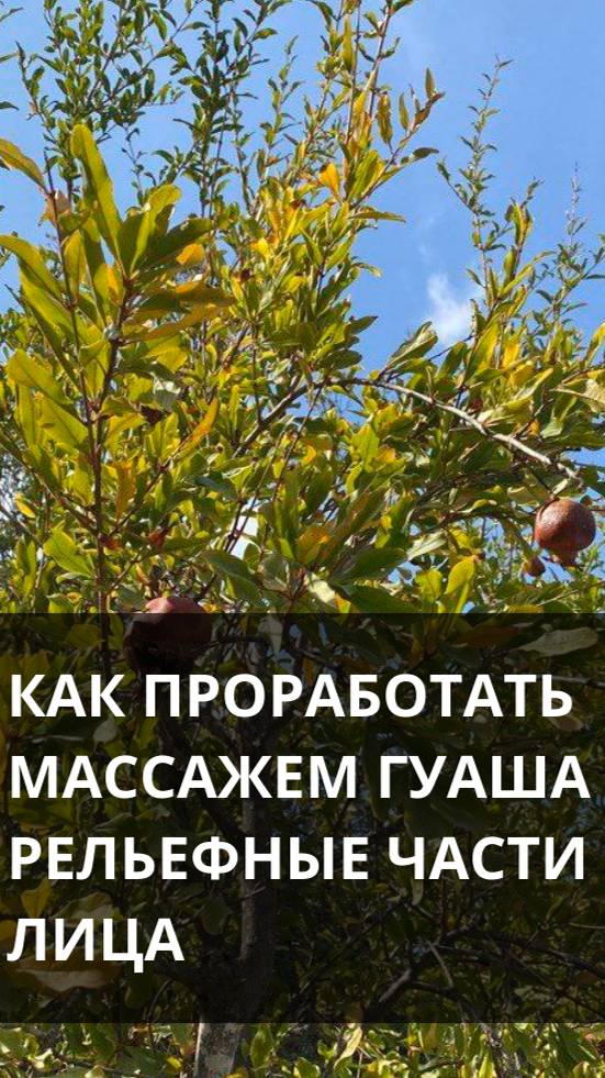 Как проработать массажем гуаша рельефные части лица.