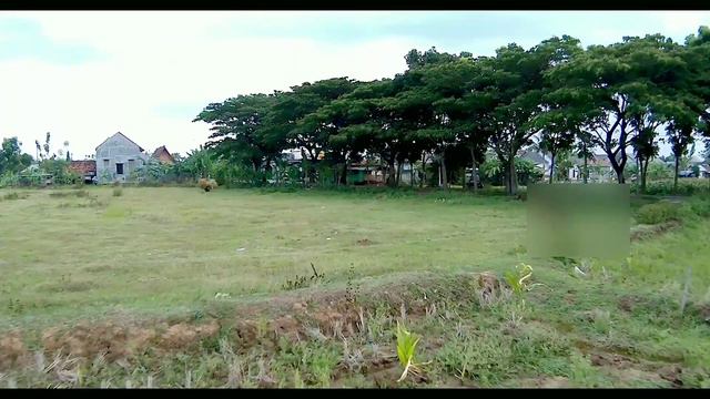 JJRC X19 full speed for racing смотреть онлайн