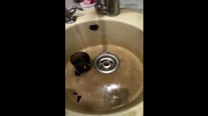 Обратный осмос. Минерализатор. МИФ и РЕАЛЬНОСТЬ