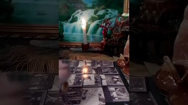 ???❣️??милым дамам на бывшего @alyataro #tarot #расклад #тарогадание #любовь смотреть онлайн