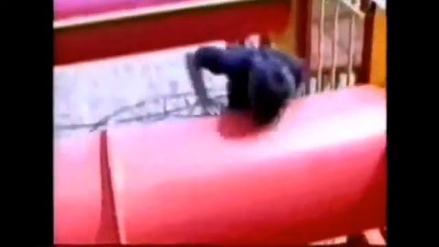 Parkour Fails. Паркур падения. смотреть онлайн