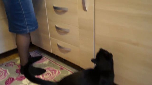 как я хочу есть! смотреть онлайн