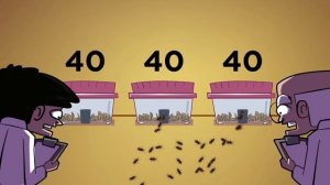 Ленивцы Такие Медленные, Что На Них Растут Водоросли. Парад Фактов