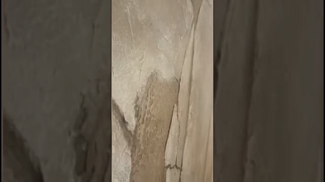 Штукатурка барельеф VGT Gallery | Эффект скалы | ВГТ ПРИМОРЬЕ #vgt #вгт