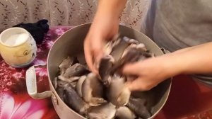 Готовлю рыбные консервы в масле из карасей.