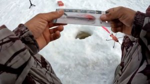 ЛОВЛЯ ЩУКИ ЗИМОЙ. Рыбалка на щуку зимой на краба, на живца, на лягушку. Зимняя рыбалка на щуку.