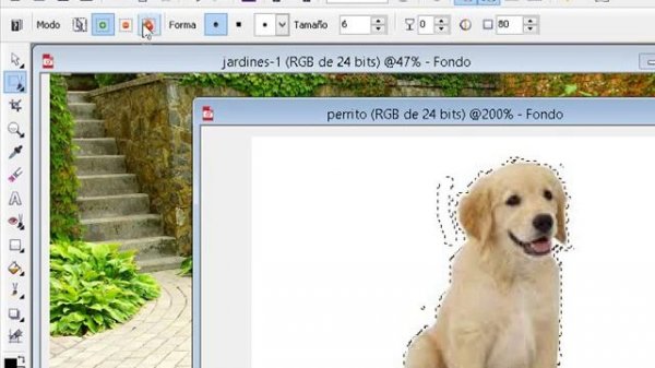 Como hacer un Fotomontaje en corel Photo Paint