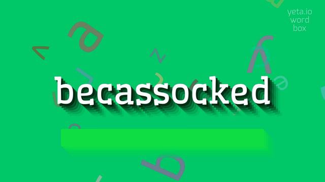 HOW TO SAY BECASSOCKED? #becassocked смотреть онлайн