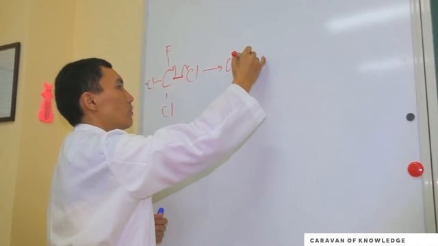 Ауа температурасының өсімдіктерге әсері сабақ steam смотреть онлайн