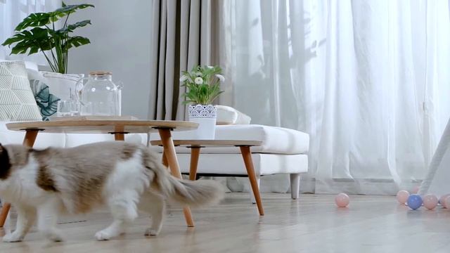 Imou CUE 2, 1080, 1/2.7