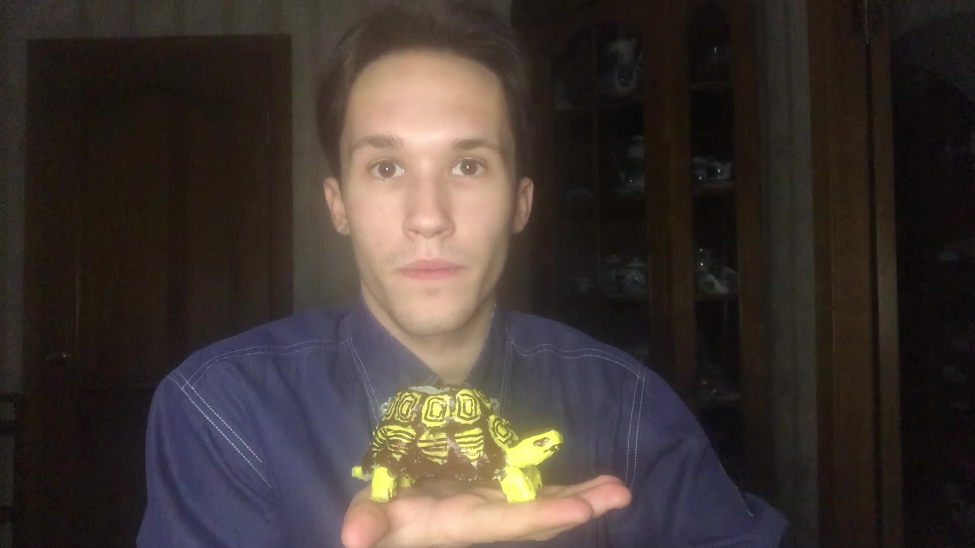 За творческим процессом Мадагаскарская клювогрудая черепаха смотреть онлайн