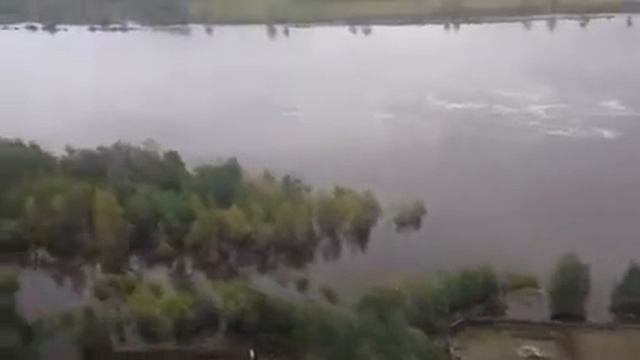 Зея смотреть онлайн